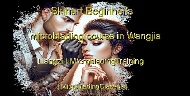 Skinart Beginner's microblading course in Wangjia Liangzi | MicrobladingTraining | MicrobladingClasses | SkinartTraining-China